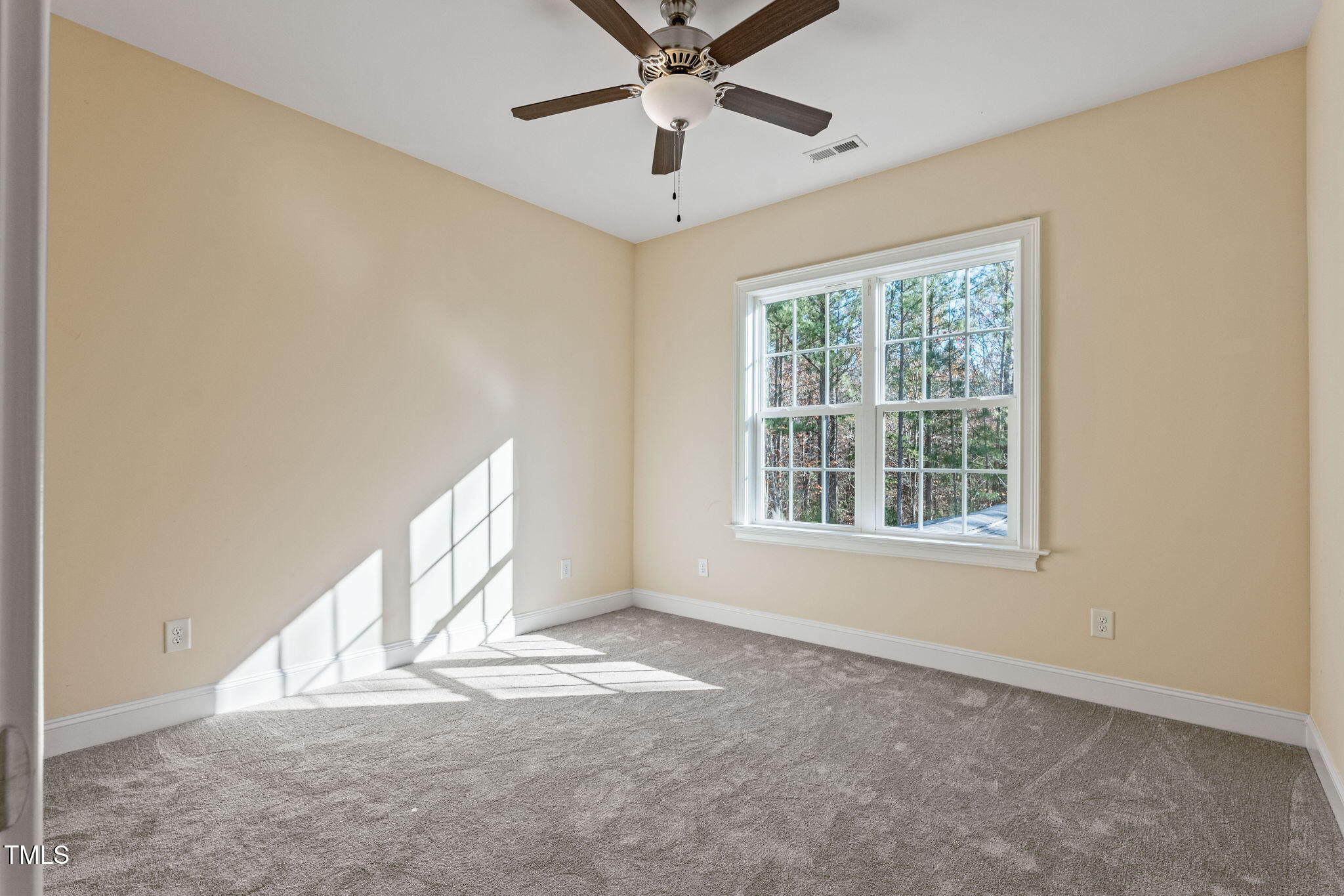 1360 Cedar Grove Road Pittsboro, NC 27312 - Photo 53 of 66 65-web-or-mls-P1304654