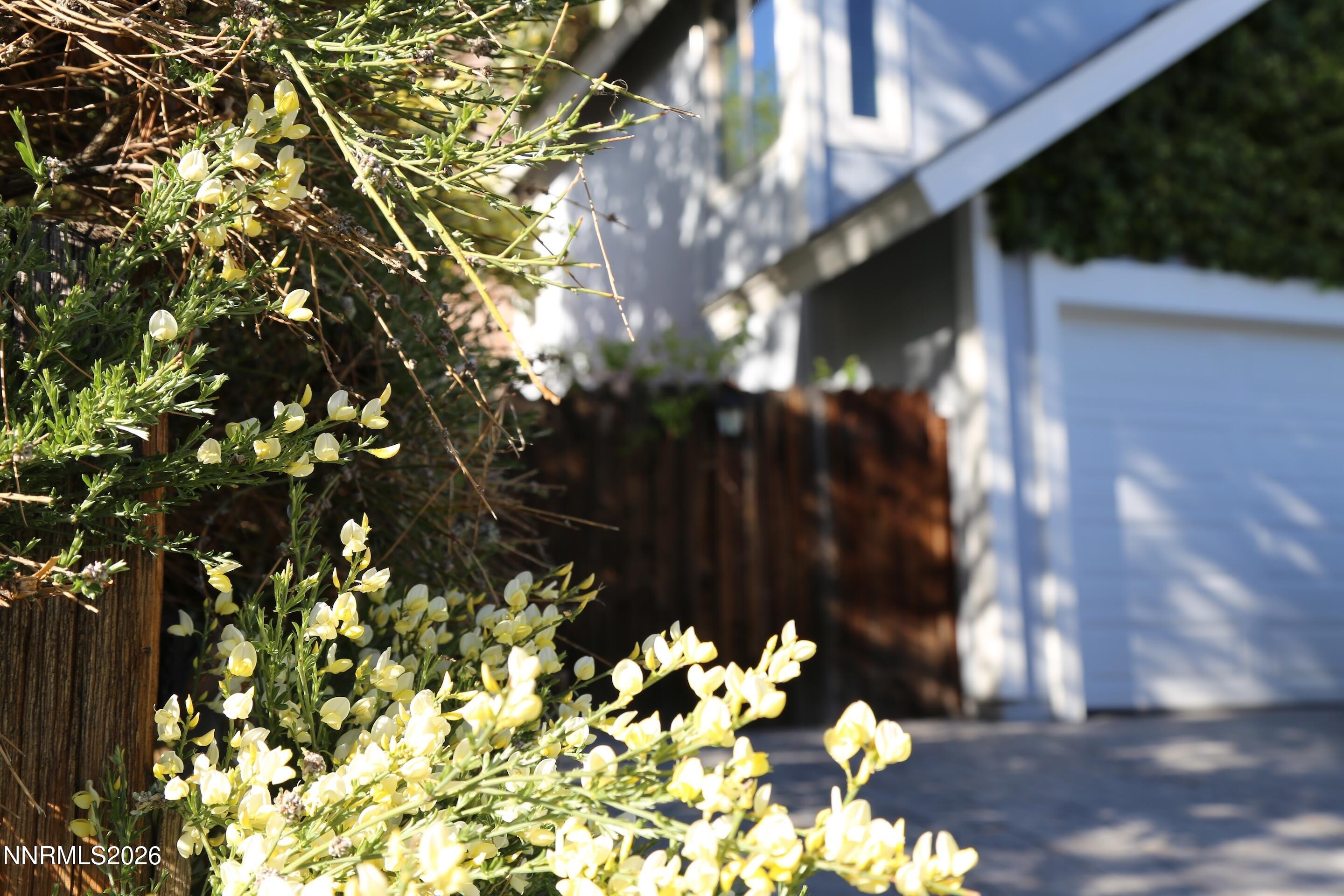 3815 Kings Row Reno, NV 89503 - Photo 39 of 39 IMG_2334