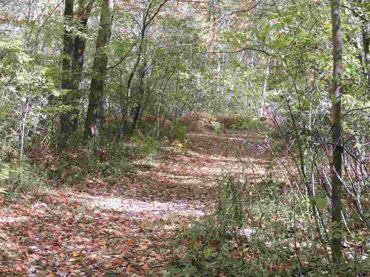 2860 North Garfield Road Pinconning, MI 48650 - Photo 34 of 47 Gallery Image 34