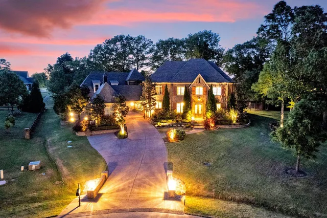 a view of a yard with plants and a bench