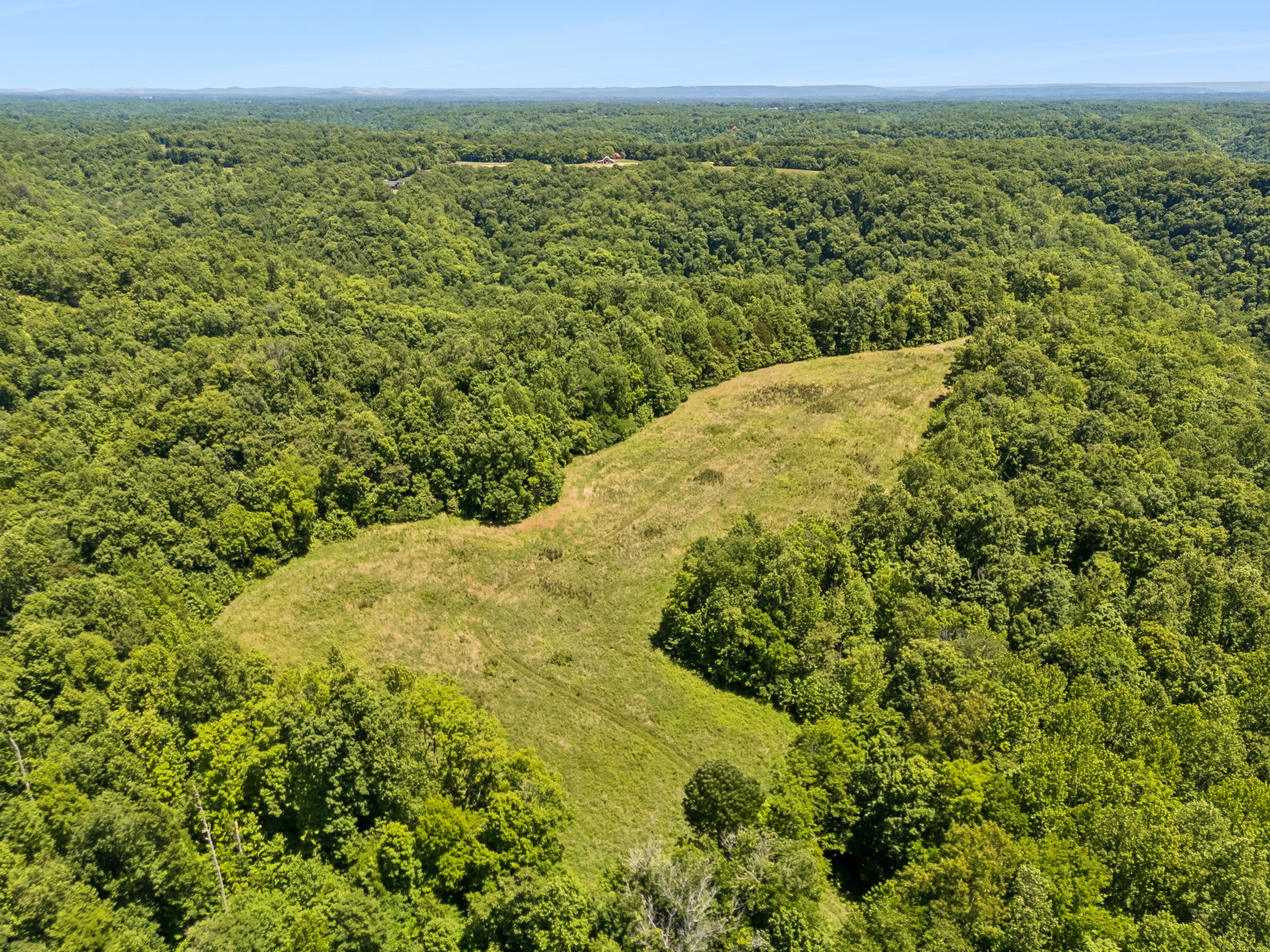 655 Burton Ridge Road Silver Point, TN 38582 - Photo 41 of 64