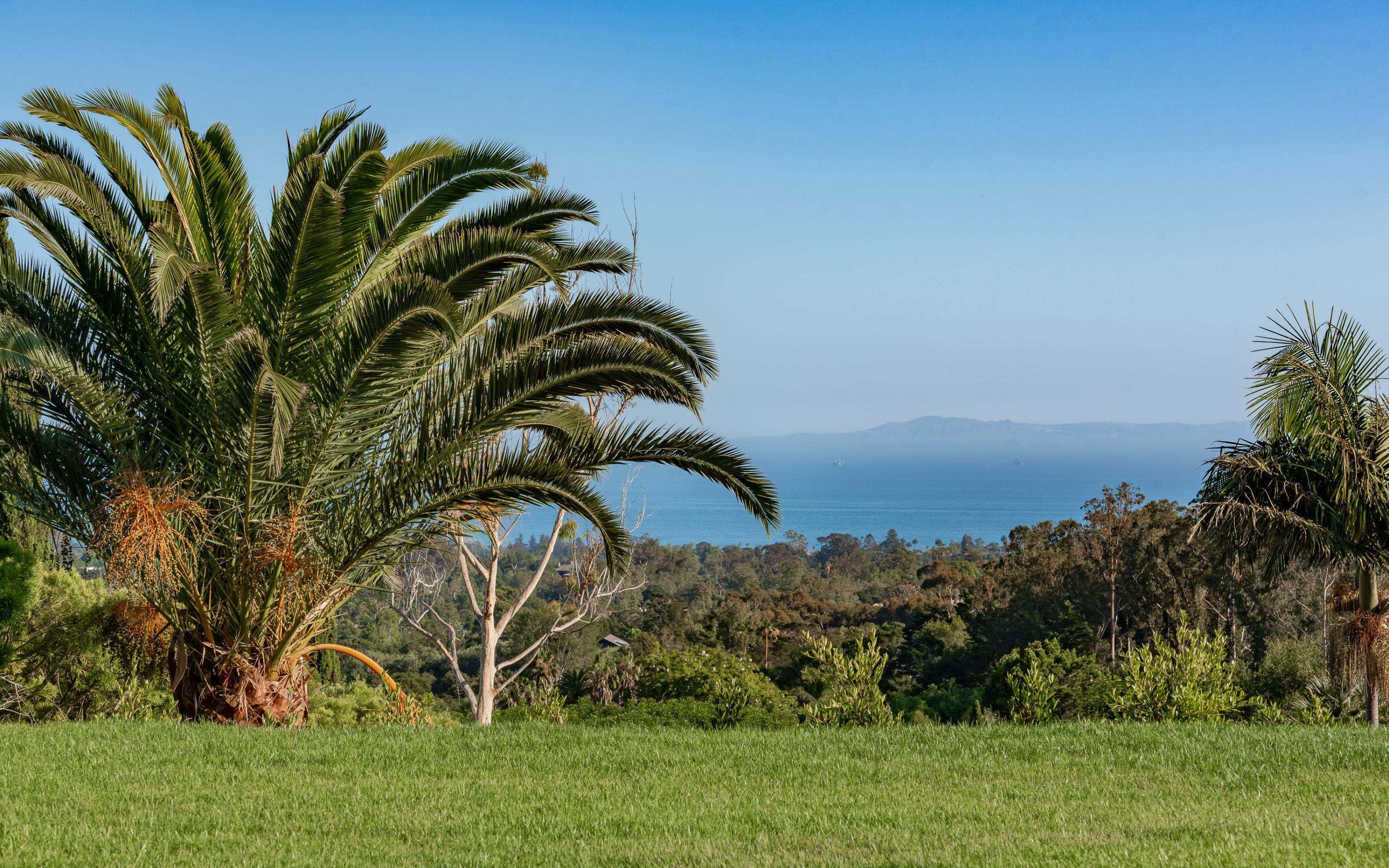 950 Brooktree Road Santa Barbara, CA 93108 - Photo 32 of 37 a backyard of a house with lots of green space