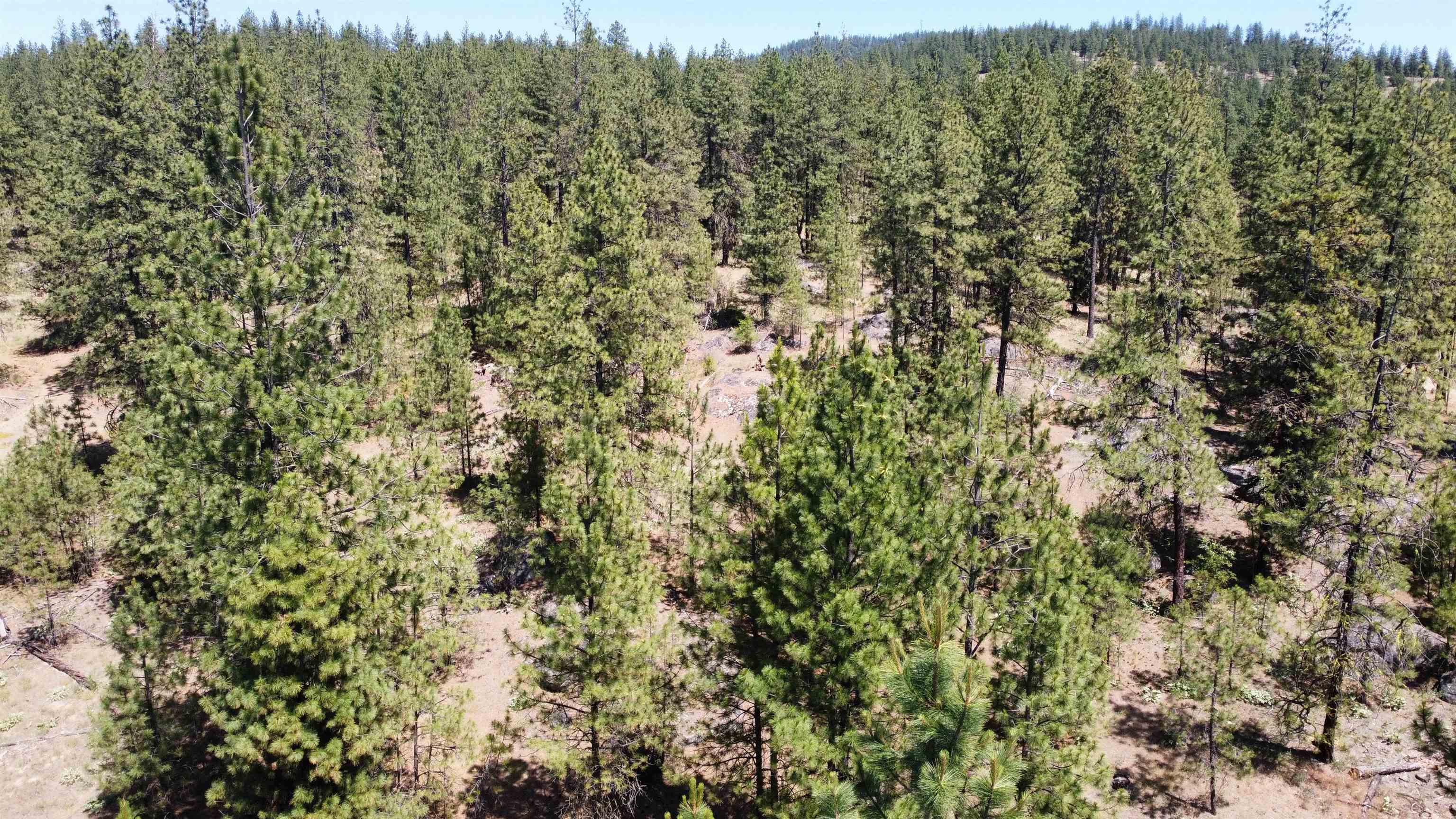 Nna Corkscrew Canyon Road Tumtum, WA 99034 - Photo 35 of 41 Gallery Image 35