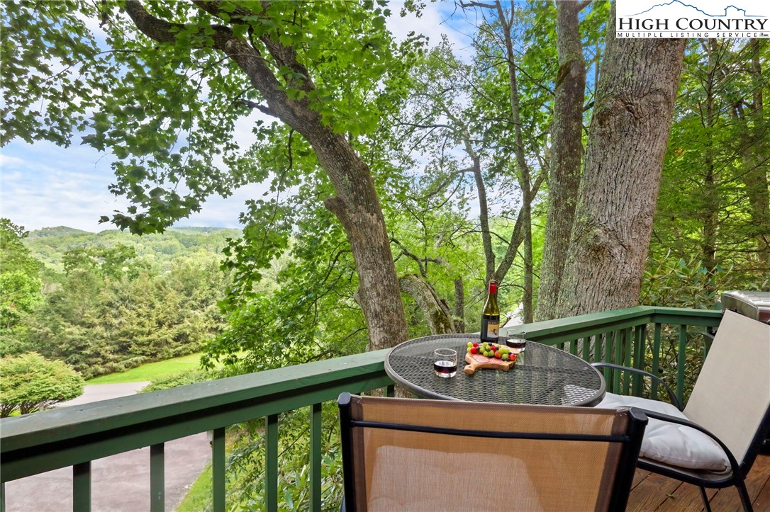 140-1 Lindale Ridge, Unit 503 Boone, NC 28607 - Photo 14 of 15 Gallery Image 14