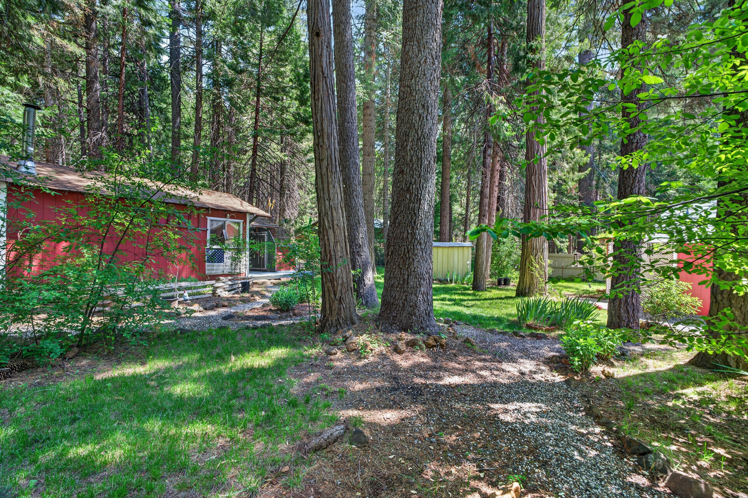 8015 Starlite Pines Road Shingletown, CA 96088 - Photo 35 of 38 a view of backyard with plants and outdoor seating