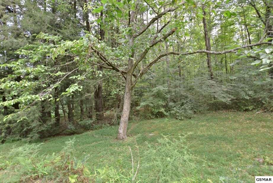 407 Laurel Springs Road Cosby, TN 37722 - Photo 14 of 36 224805-13