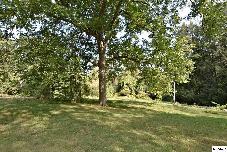 407 Laurel Springs Road Cosby, TN 37722 - Photo 3 of 36 224805-2
