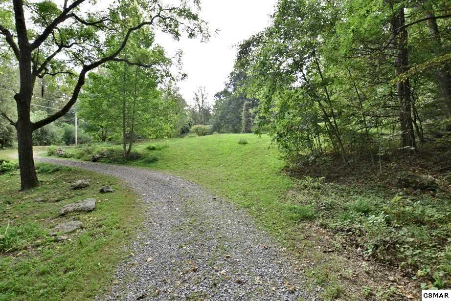 407 Laurel Springs Road Cosby, TN 37722 - Photo 34 of 36 224805-33