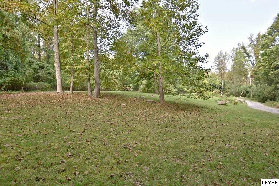 407 Laurel Springs Road Cosby, TN 37722 - Photo 6 of 36 224805-5