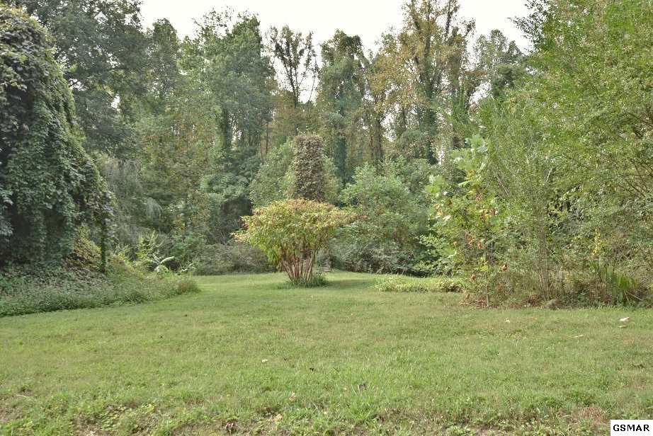 407 Laurel Springs Road Cosby, TN 37722 - Photo 7 of 36 224805-6