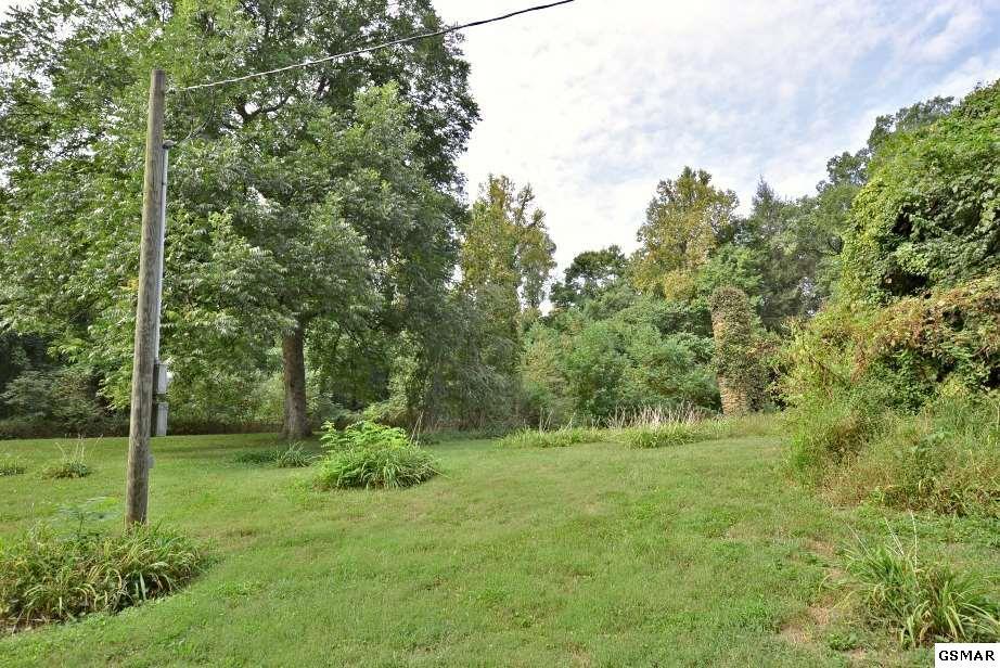 407 Laurel Springs Road Cosby, TN 37722 - Photo 8 of 36 224805-7