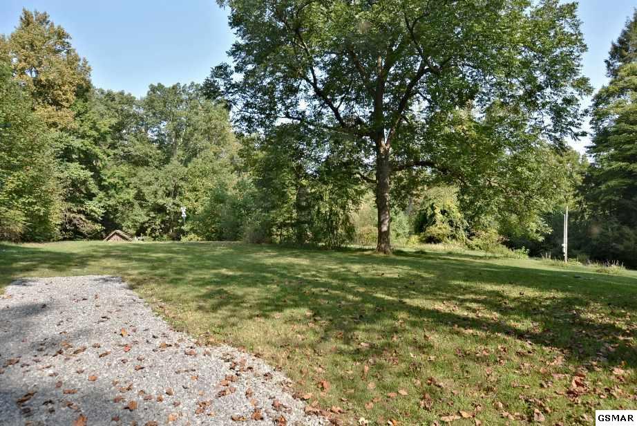 407 Laurel Springs Road Cosby, TN 37722 - Photo 9 of 36 224805-8