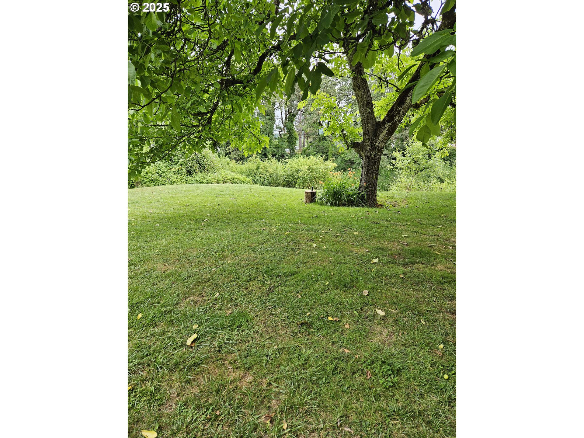 617 Southwest Monroe Street Sheridan, OR 97378 - Photo 24 of 26