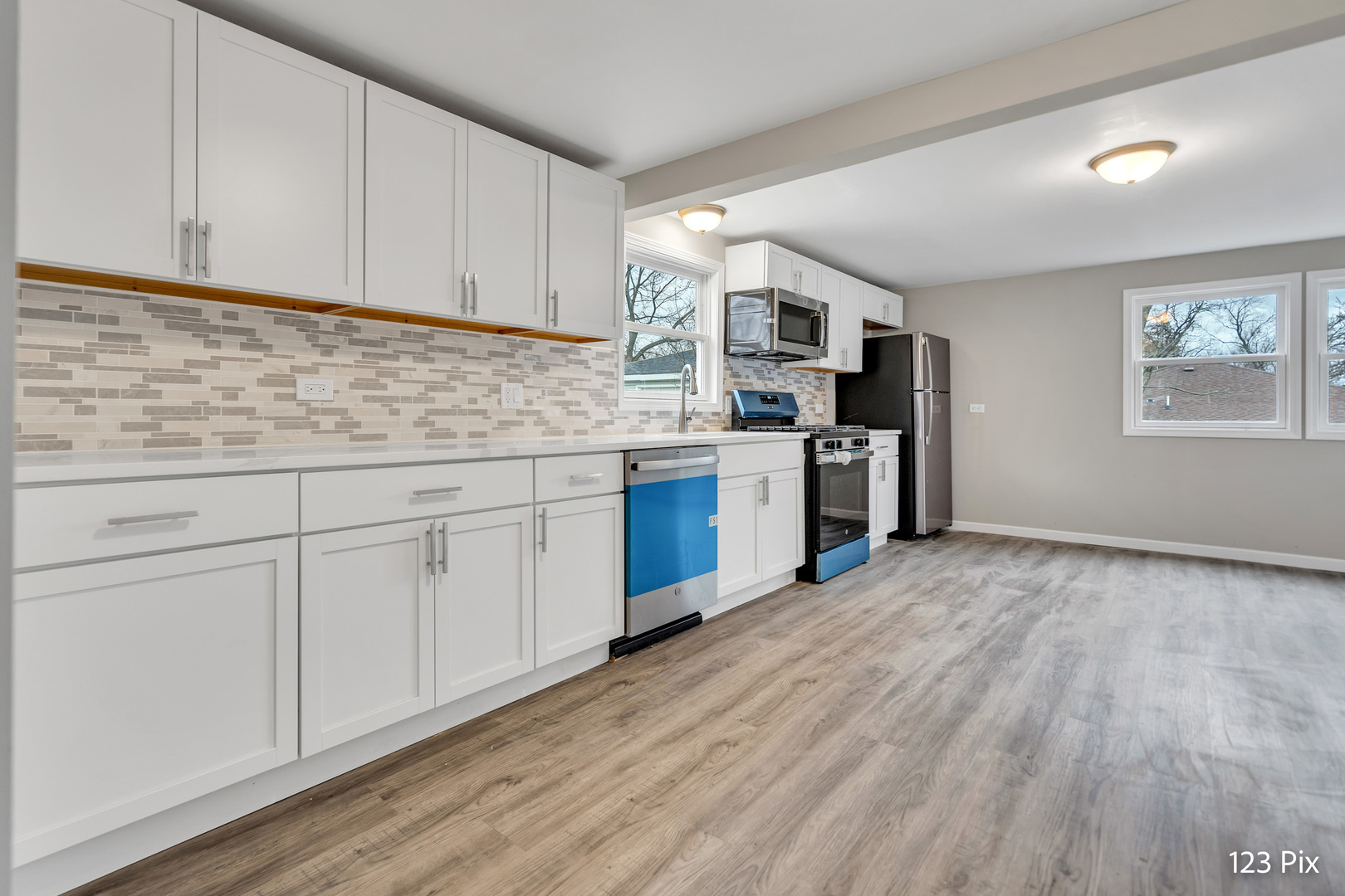 24522 Norelius Avenue Round Lake, IL 60073 - Photo 9 of 20