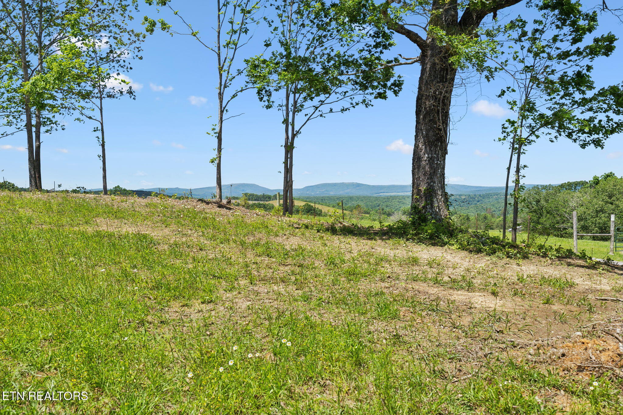 1460 Big Neck Road Grandview, TN 37337 - Photo 3 of 32 Mountain View
