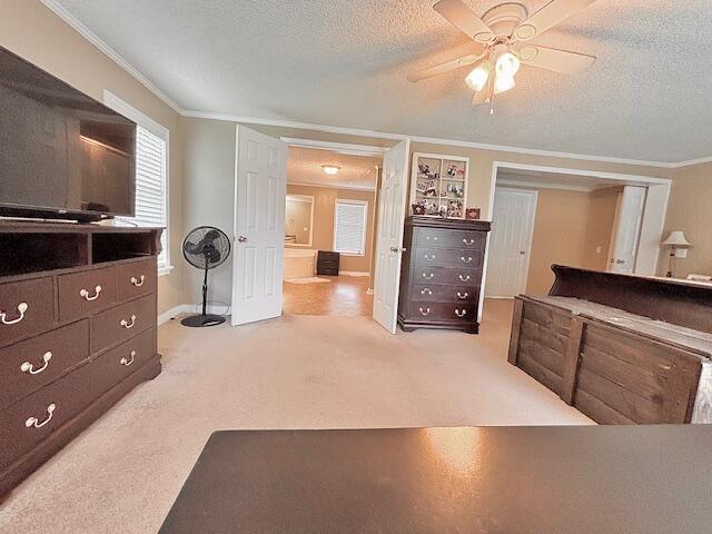 7977 Raccoon Road Manning, SC 29102 - Photo 14 of 27