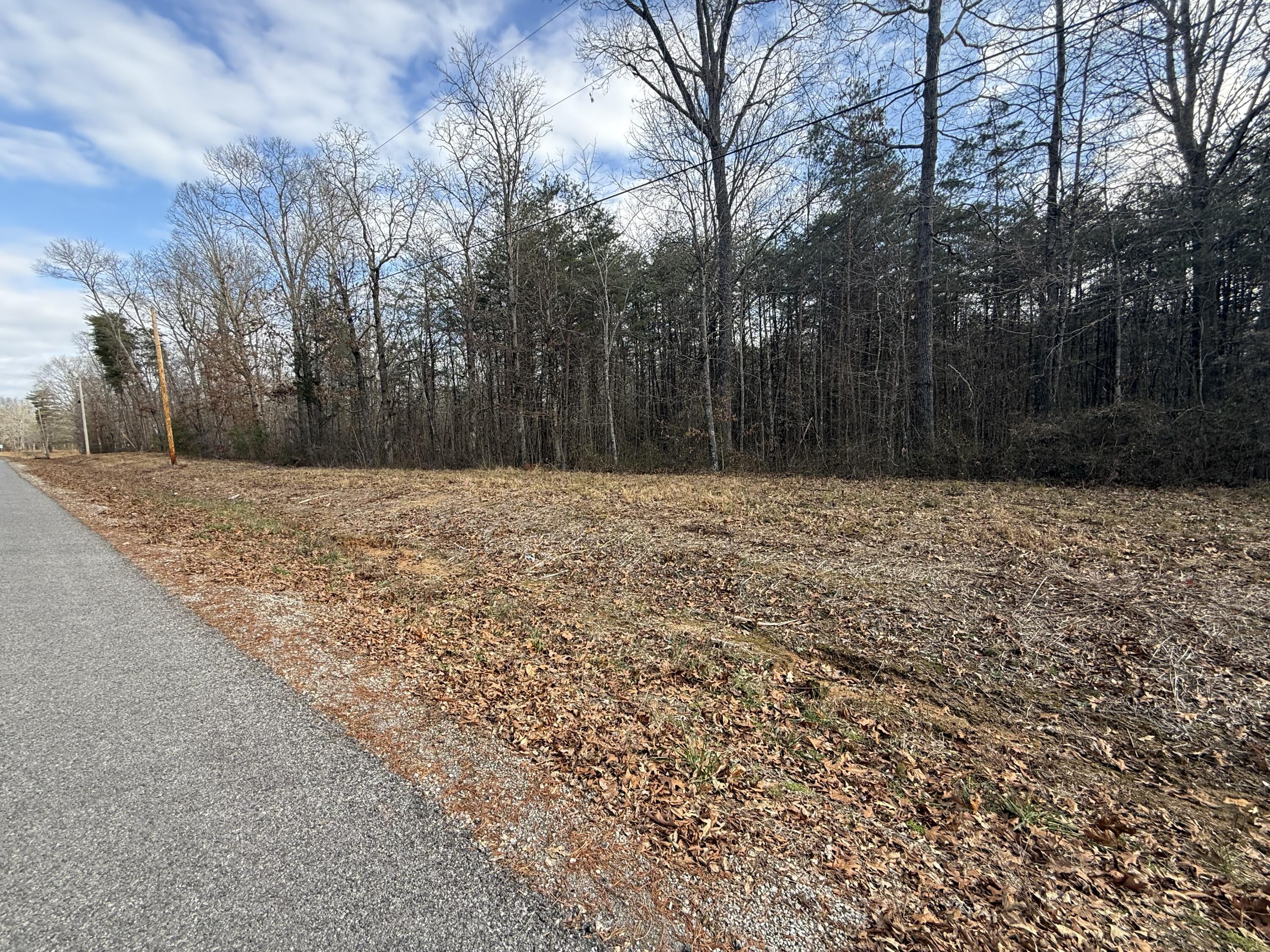 1 County Road, Unit 267 LOT 6 Bryant, AL 35958 - Photo 4 of 7 IMG_9676