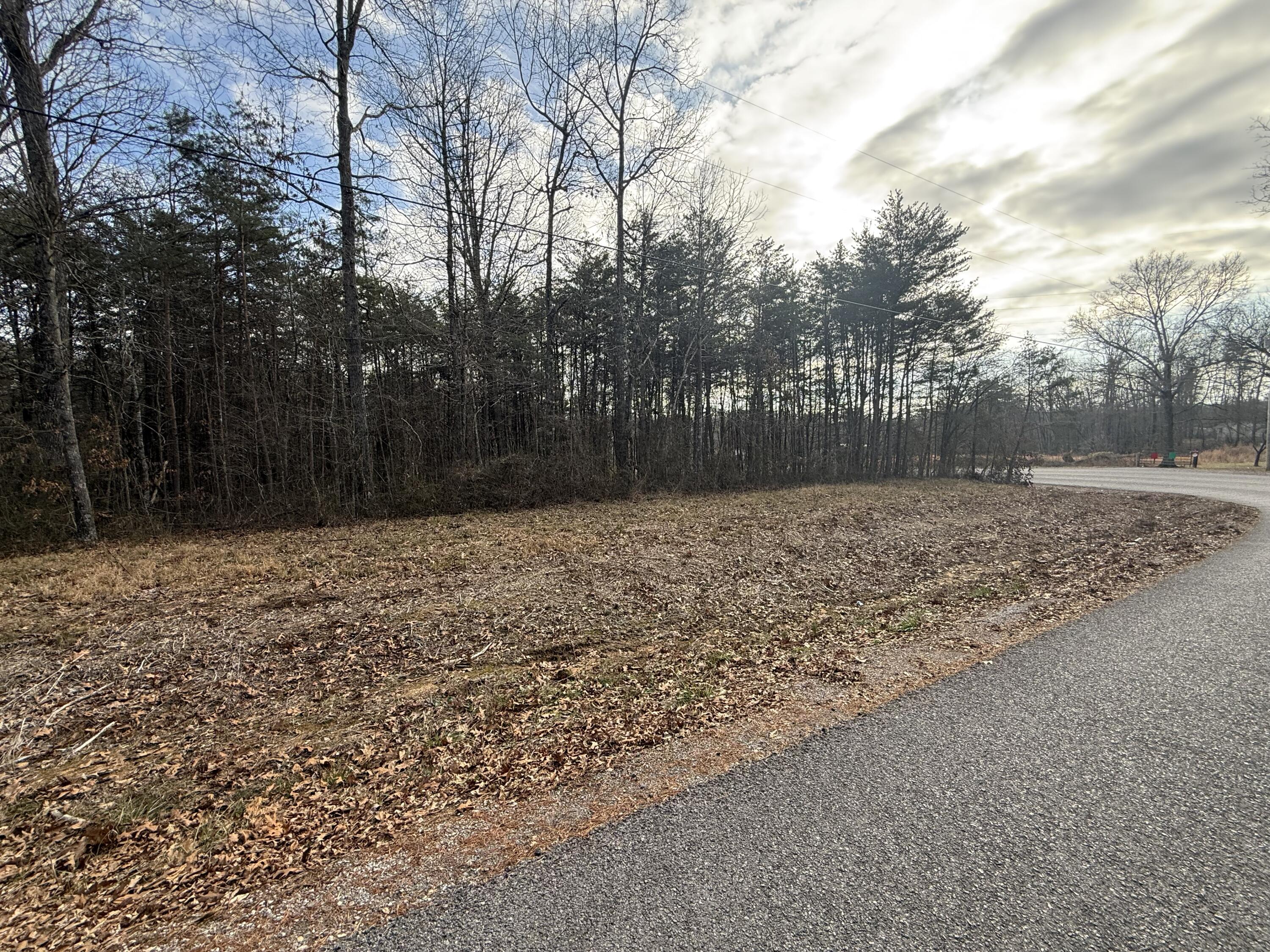 1 County Road, Unit 267 LOT 6 Bryant, AL 35958 - Photo 5 of 7 IMG_9669