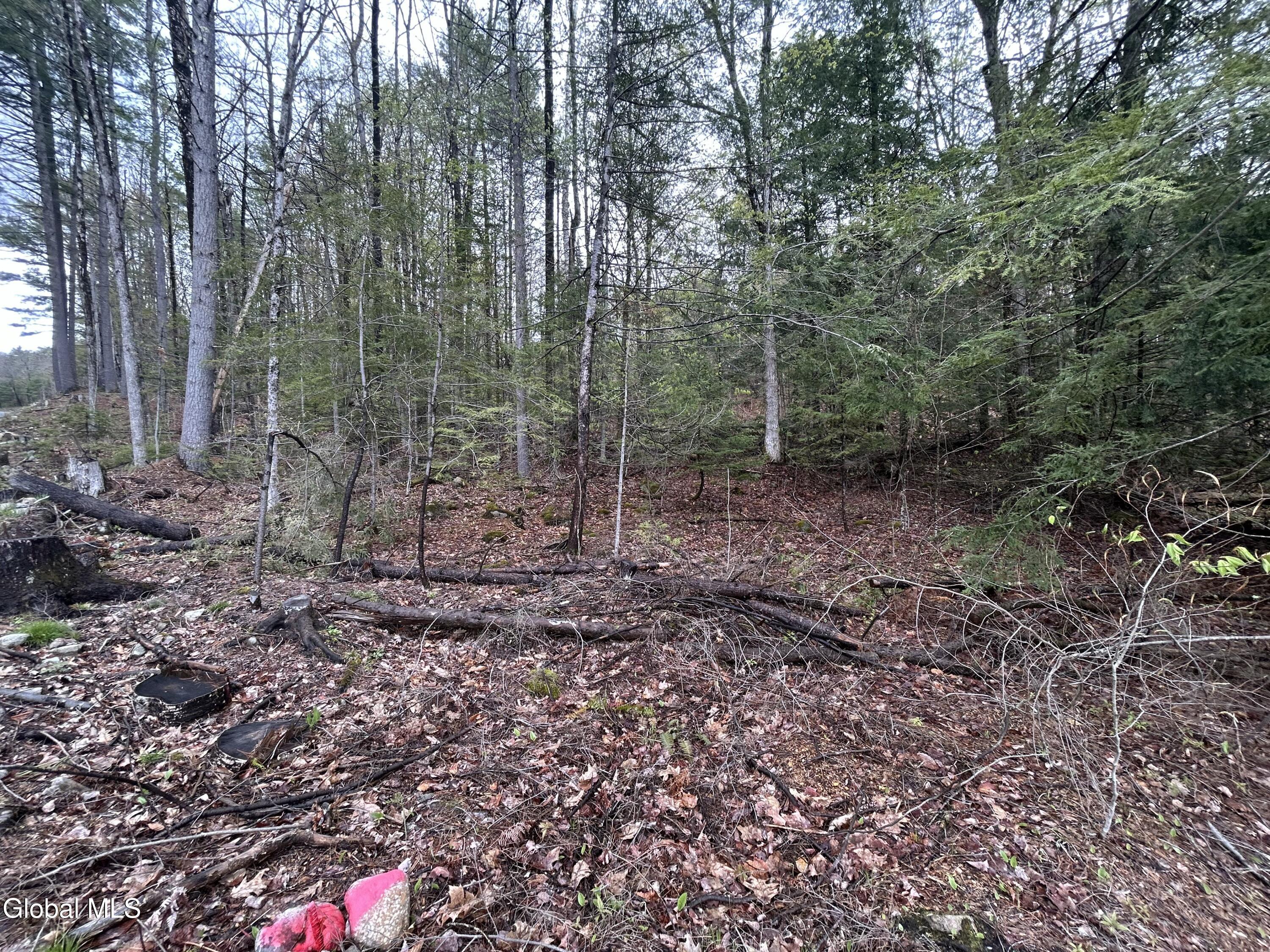 L46 Alder Brook Road Brant Lake, NY 12815 - Photo 5 of 15 IMG_2470