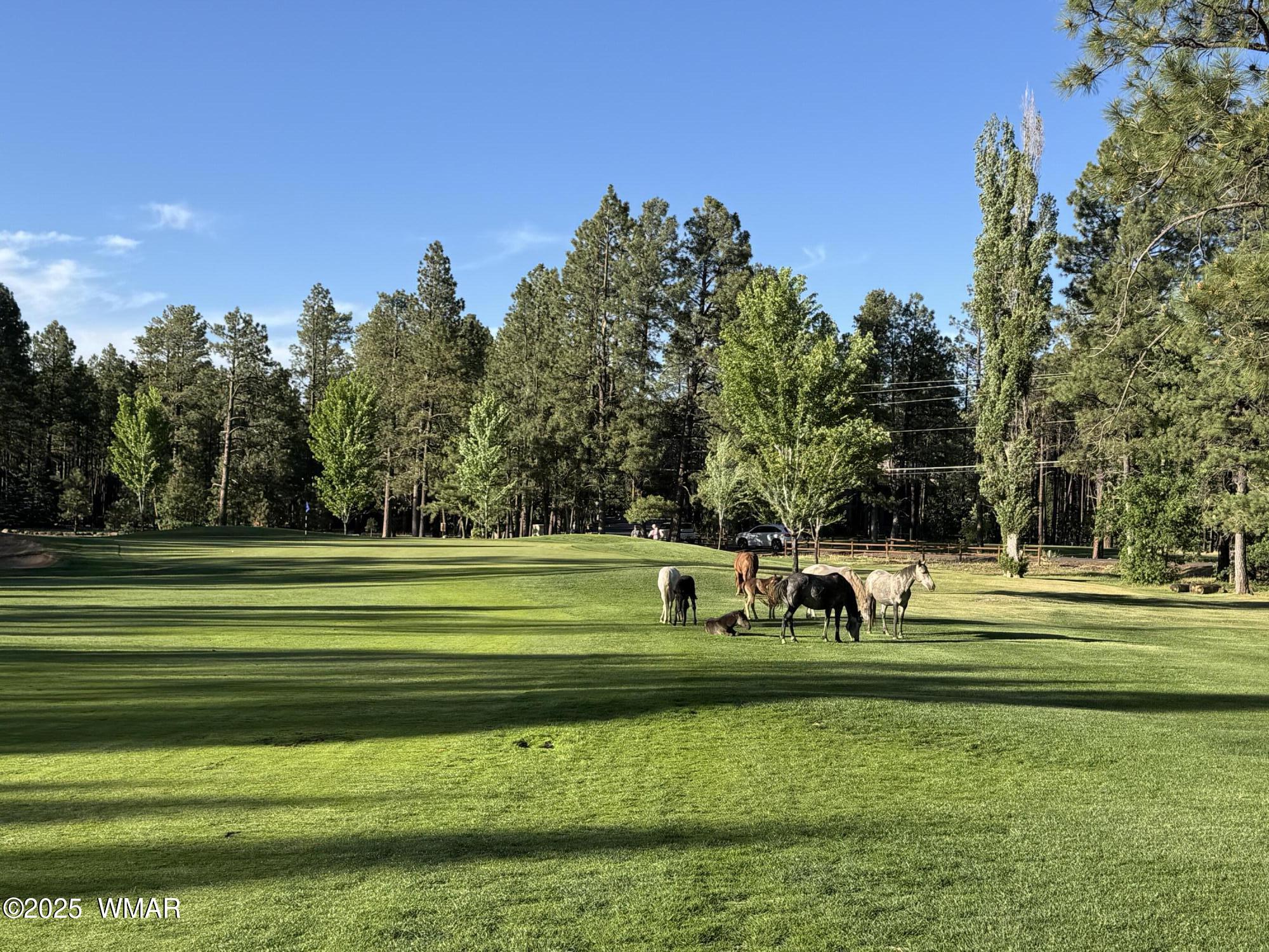 7451 Buck Springs Road Pinetop, AZ 85935 - Photo 25 of 36