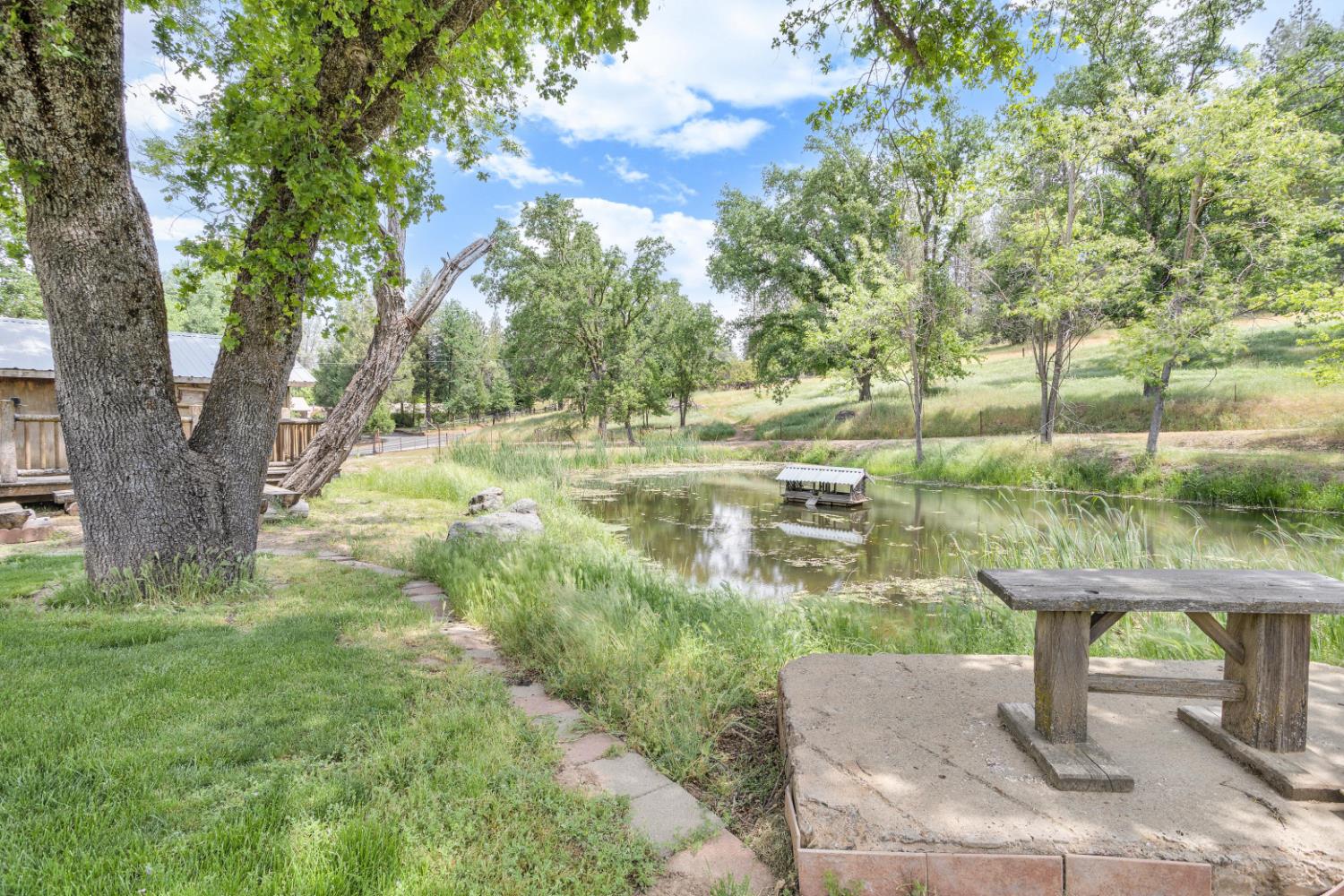 22025 Ferretti Road Groveland, CA 95321 - Photo 39 of 92 I could sit here all day.....