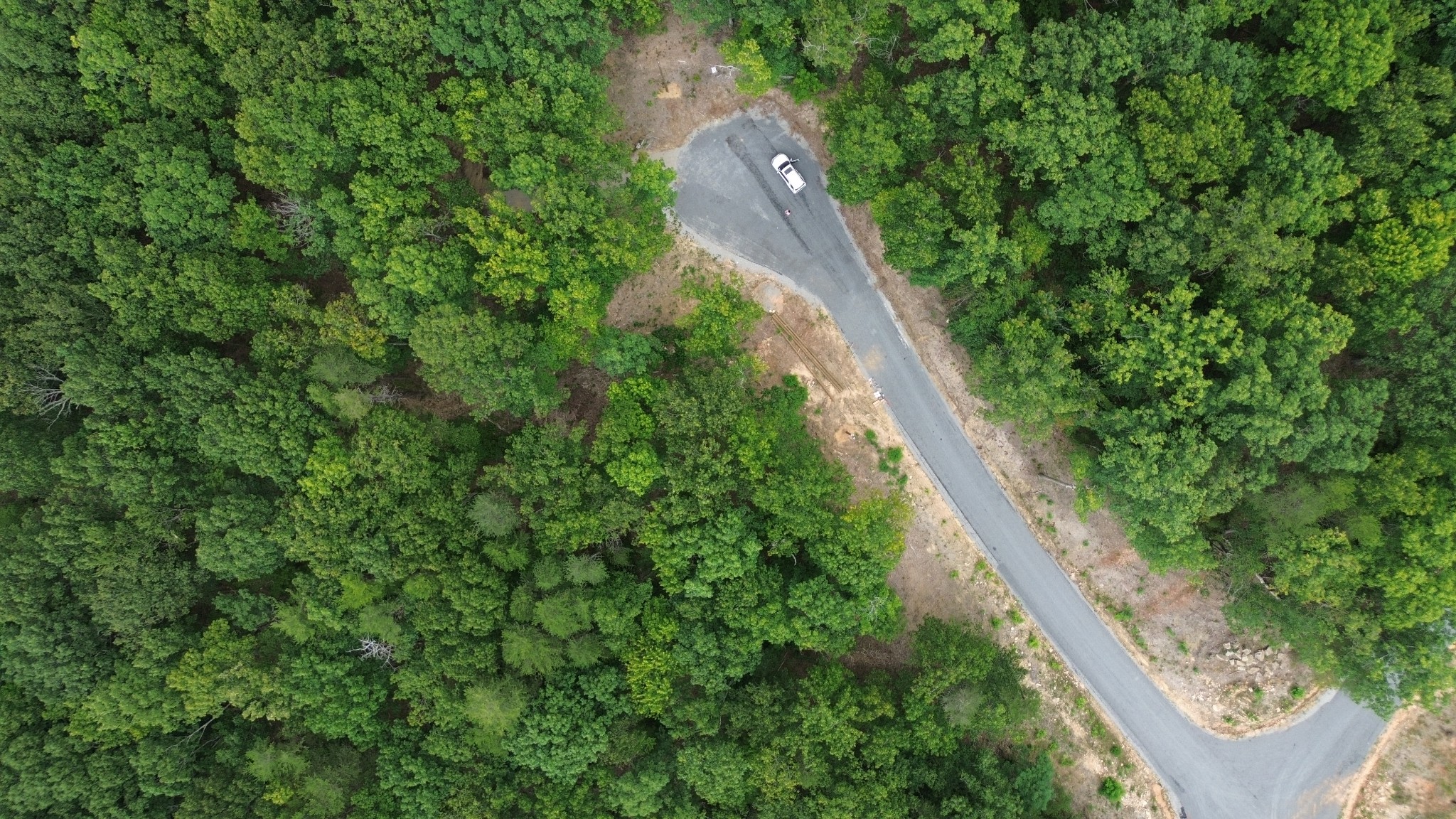 0 Bluff Point Rock Island, TN 38581 - Photo 5 of 12 a view of a garden with a tree