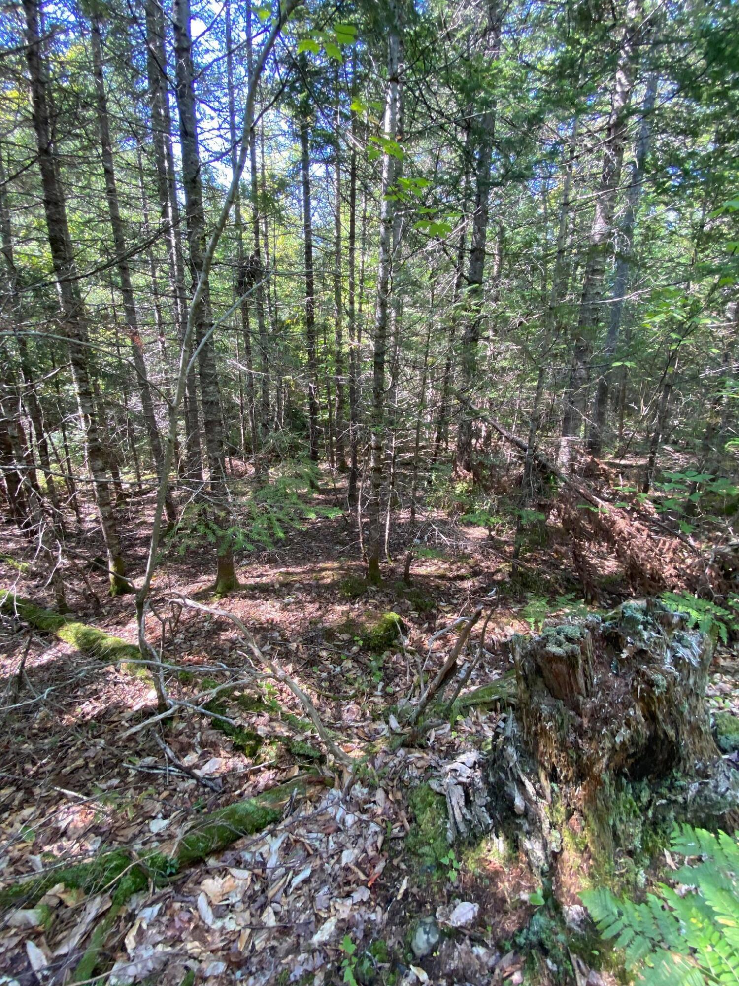 Tbd Steward Road Monson, ME 04464 - Photo 8 of 12 241415046_564247485008722_80810999122105
