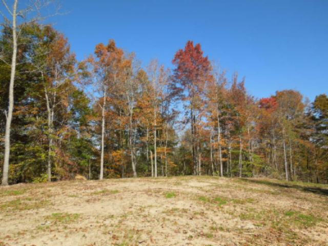 110.07-ac Turkey Town Road Hilham, TN 38568 - Photo 2 of 28 02