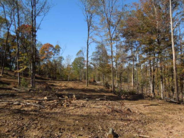 110.07-ac Turkey Town Road Hilham, TN 38568 - Photo 11 of 28 07