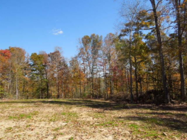 110.07-ac Turkey Town Road Hilham, TN 38568 - Photo 12 of 28 08