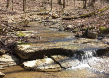 110.07-ac Turkey Town Road Hilham, TN 38568 - Photo 14 of 28 10 creek