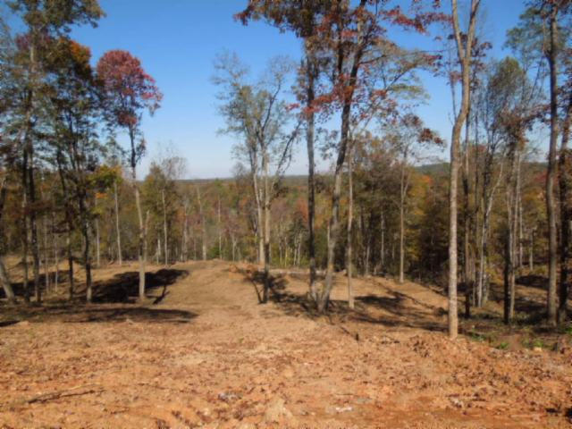 110.07-ac Turkey Town Road Hilham, TN 38568 - Photo 17 of 28 13