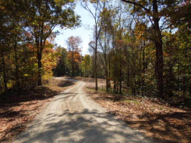 110.07-ac Turkey Town Road Hilham, TN 38568 - Photo 18 of 28 14