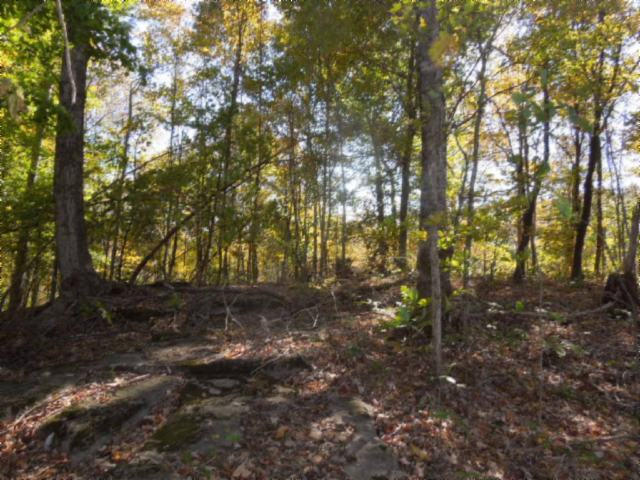 110.07-ac Turkey Town Road Hilham, TN 38568 - Photo 21 of 28 17
