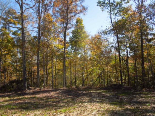 110.07-ac Turkey Town Road Hilham, TN 38568 - Photo 23 of 28 19