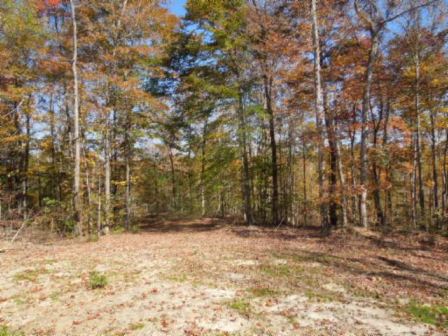110.07-ac Turkey Town Road Hilham, TN 38568 - Photo 24 of 28 20