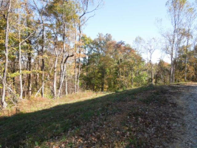 110.07-ac Turkey Town Road Hilham, TN 38568 - Photo 25 of 28 21
