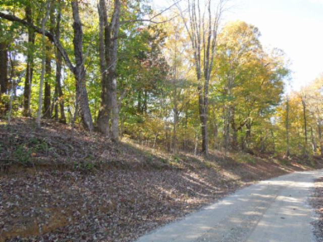 110.07-ac Turkey Town Road Hilham, TN 38568 - Photo 26 of 28 22