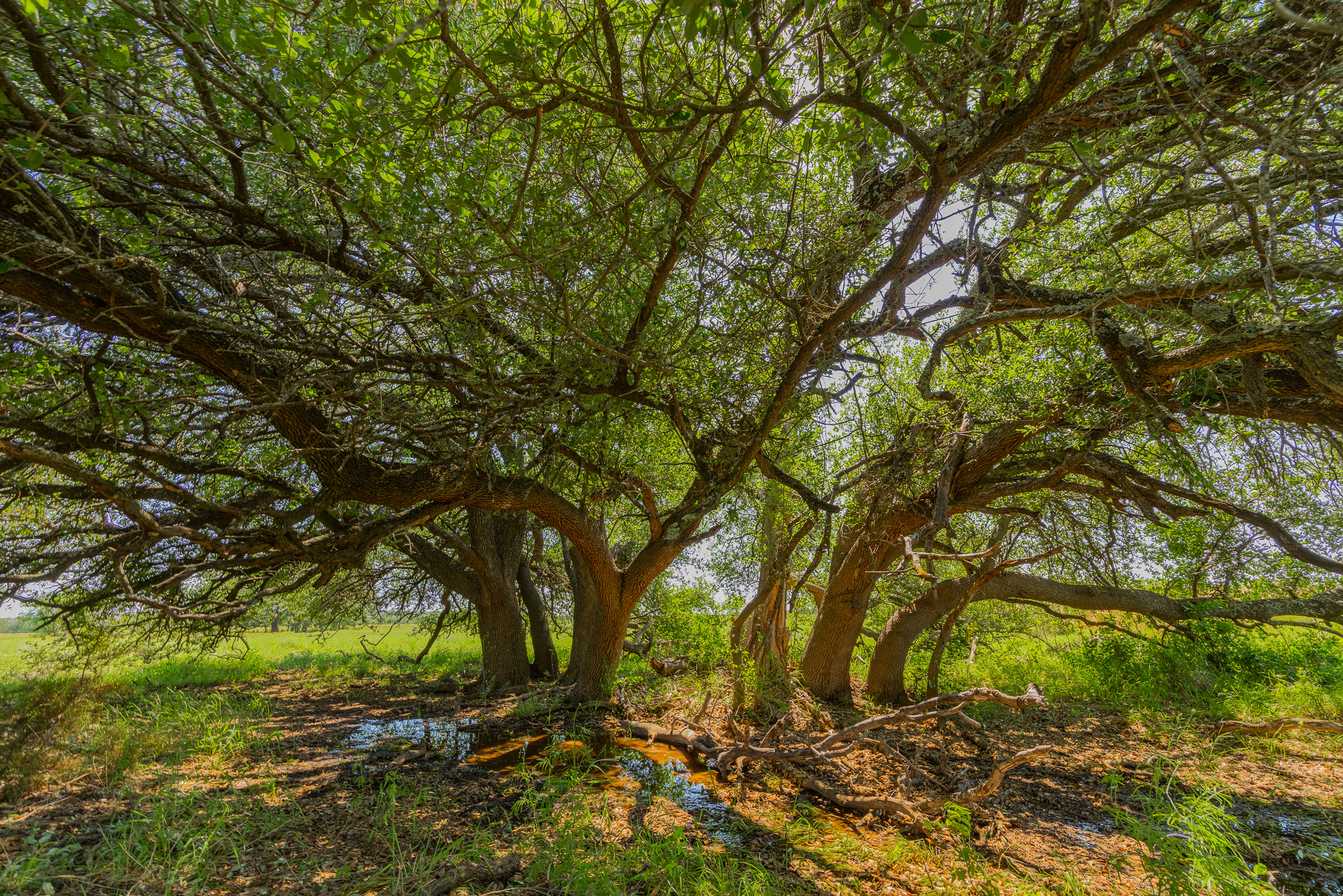 180 Rd Purmela Tx 76566 Road Purmela, TX 76566 - Photo 27 of 32 Gallery Image 27