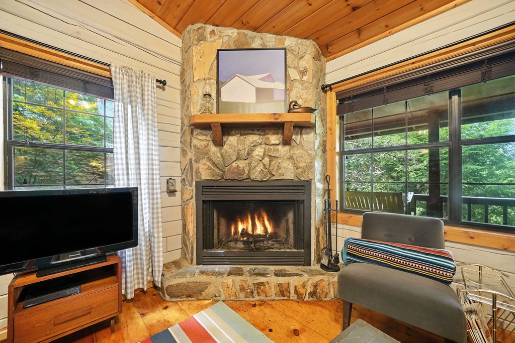 125 Laurel Mountain Road Blue Ridge, GA 30513 - Photo 9 of 29 Gallery Image 9