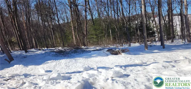 a view of outdoor space with trees