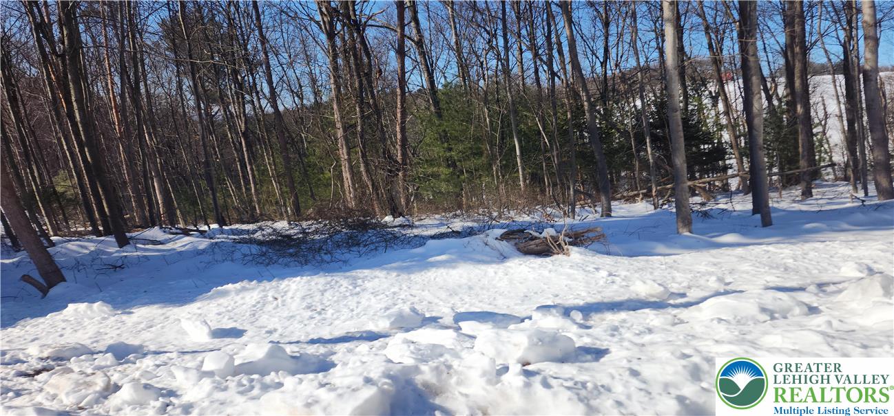 a view of outdoor space with trees
