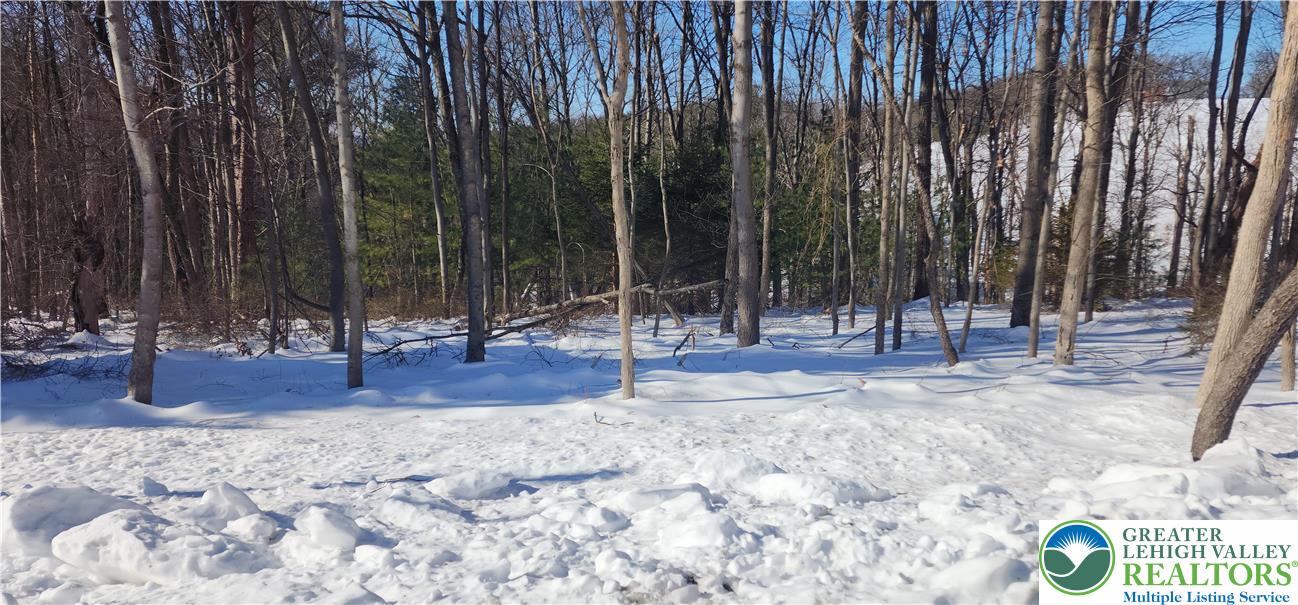 2199 Cherry Hill Road Parryville, PA 18071 - Photo 2 of 4 a view of outdoor space with sink