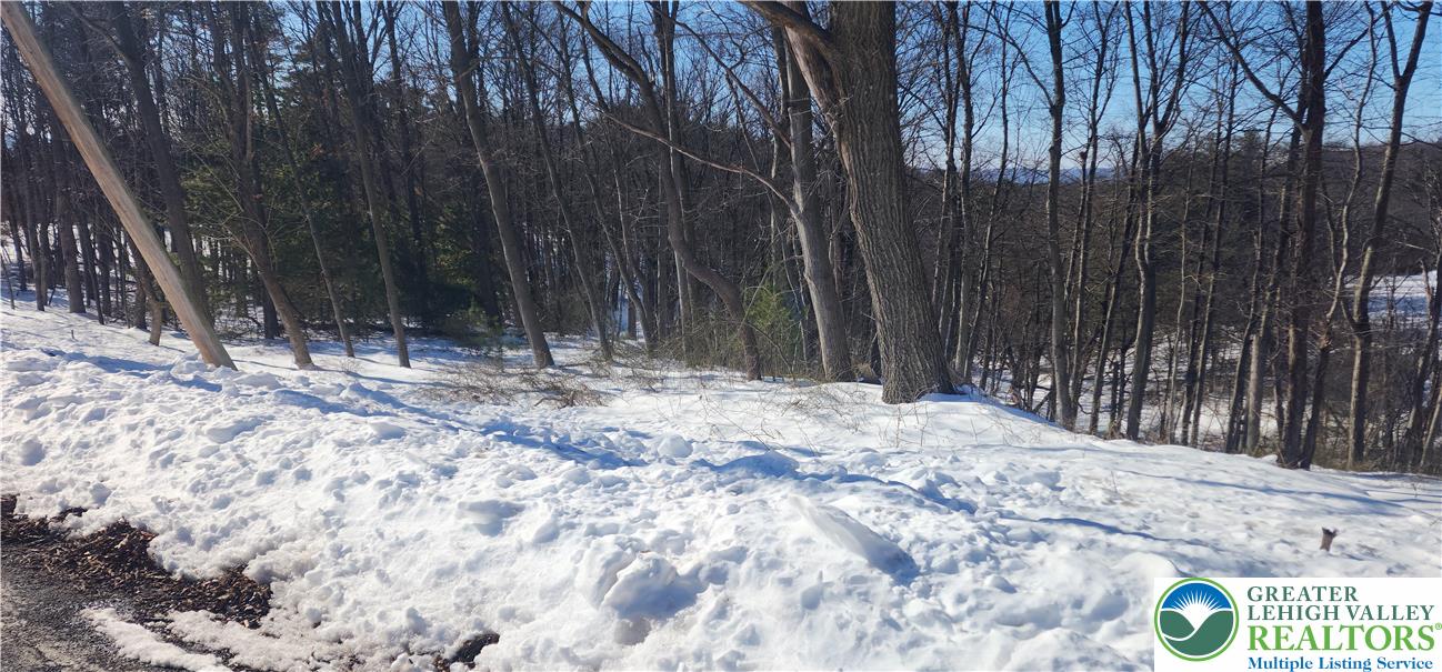 2199 Cherry Hill Road Parryville, PA 18071 - Photo 3 of 4 a view of wooden fence and trees