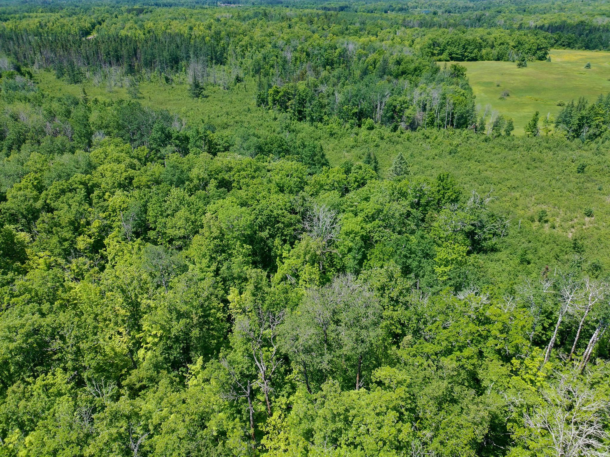 89225 Little Oak Lake Road Kerrick, MN 55756 - Photo 28 of 33
