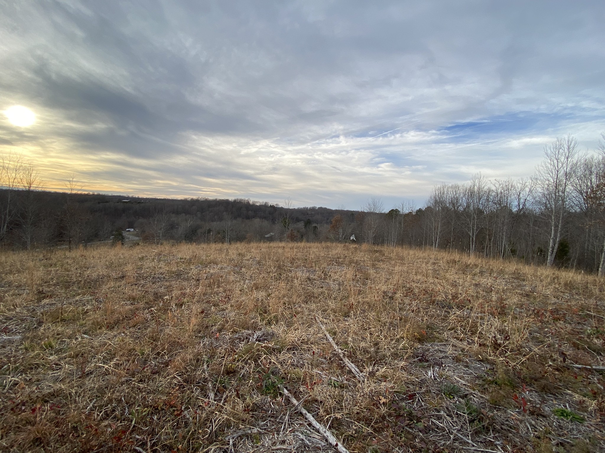 1386 Rogues Fork Road Bethpage, TN 37022 - Photo 3 of 6 a view of a lake view