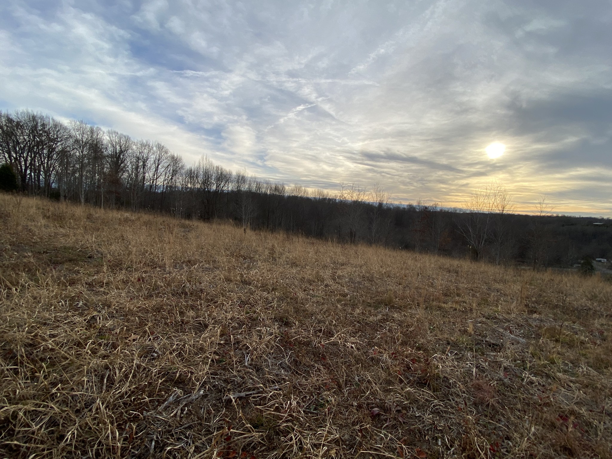 1386 Rogues Fork Road Bethpage, TN 37022 - Photo 4 of 6 a view of mountain with lake view