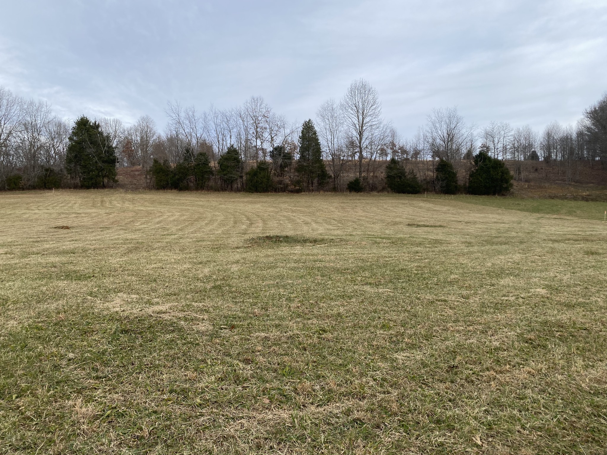 1386 Rogues Fork Road Bethpage, TN 37022 - Photo 5 of 6 a view of lake