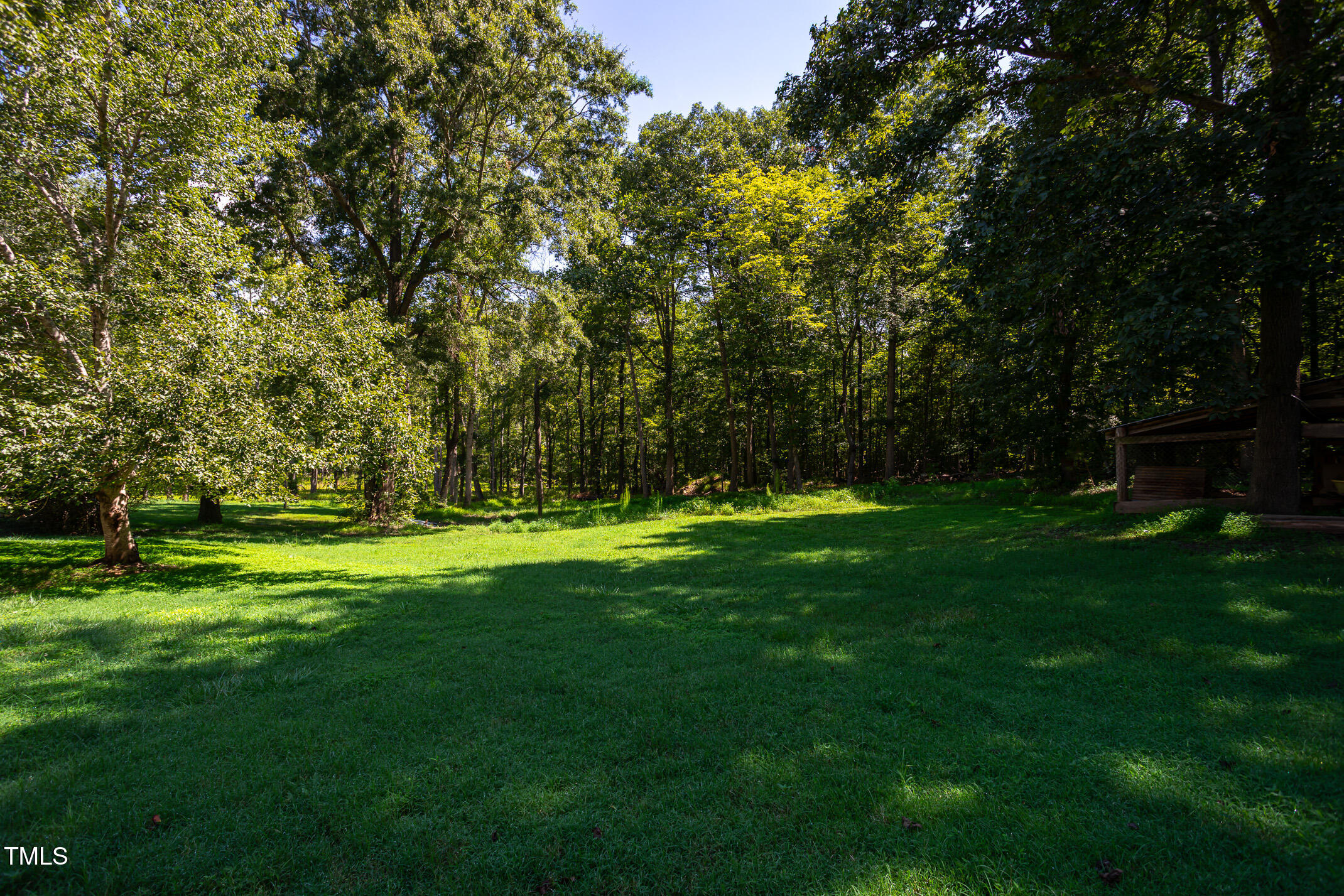 3622 Chestnut Ridge Church Road Efland, NC 27243 - Photo 22 of 22 a view of field with tall trees