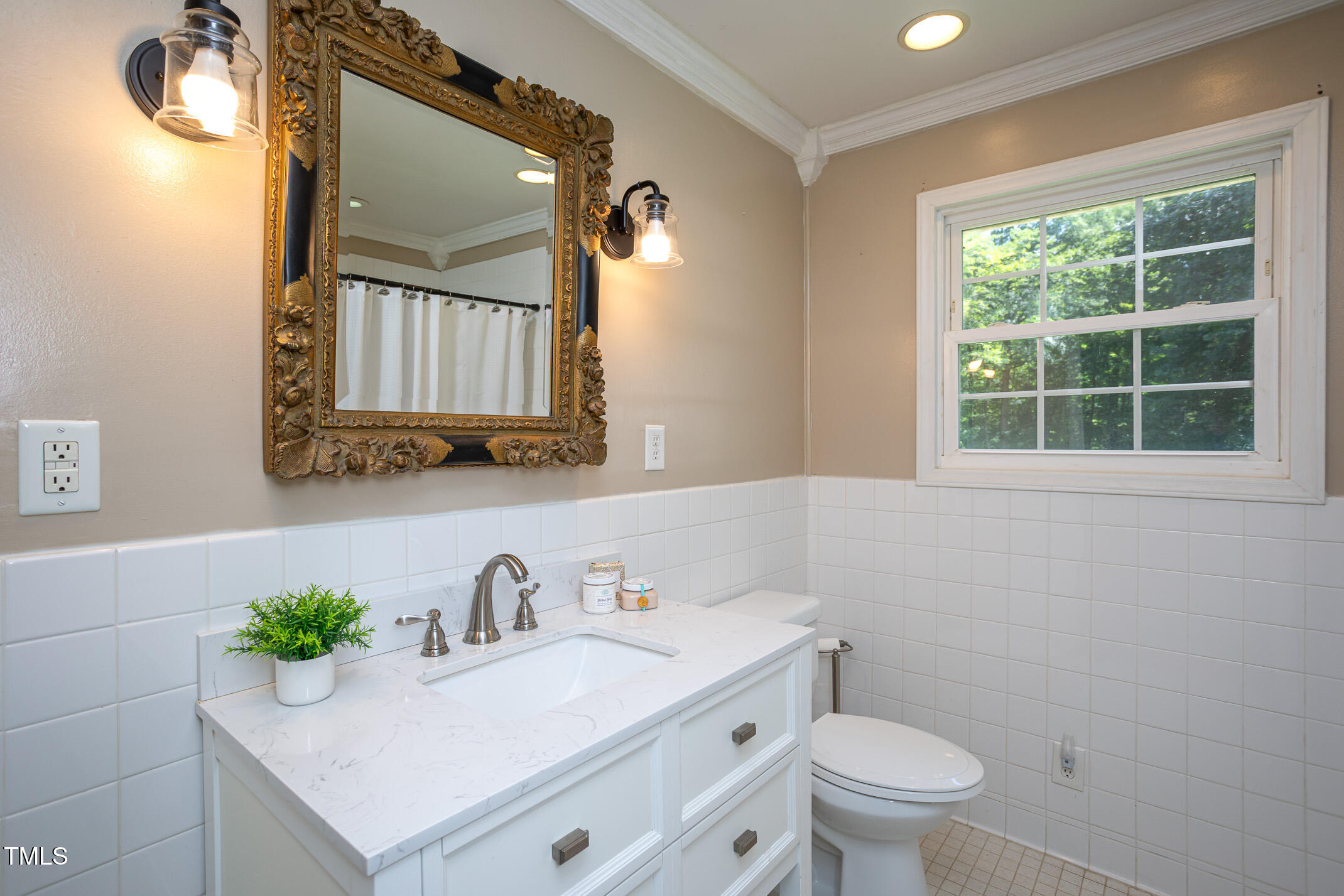 3622 Chestnut Ridge Church Road Efland, NC 27243 - Photo 9 of 22 a bathroom with a sink a toilet and a mirror